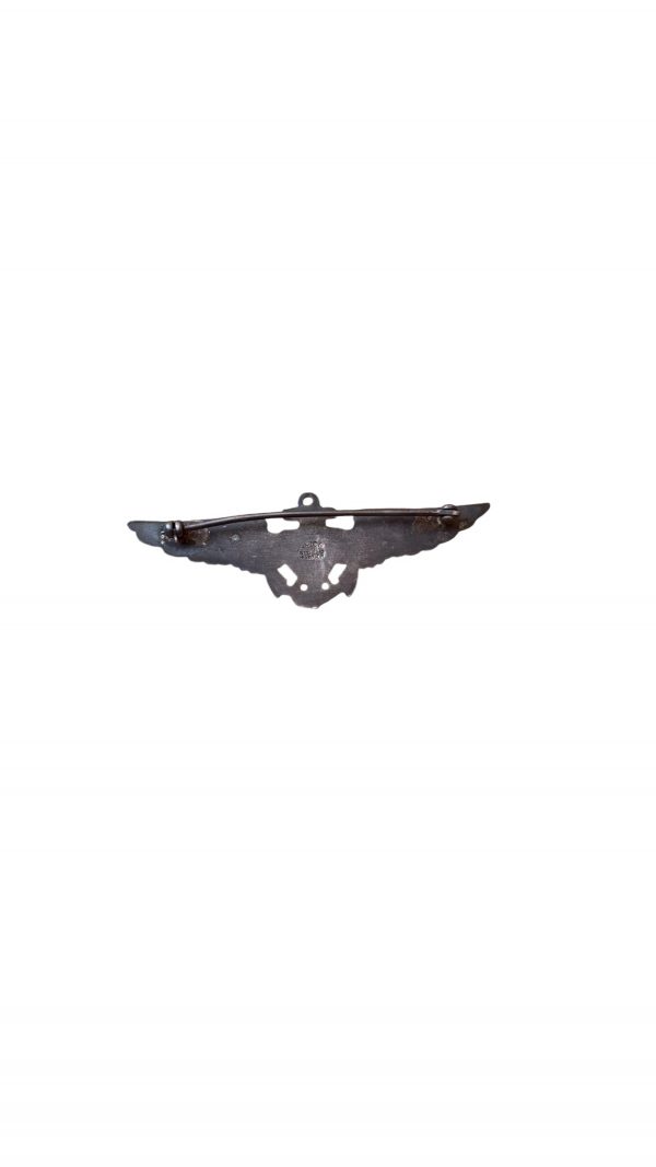 Brevet Pilote Navy Sterling – Image 3