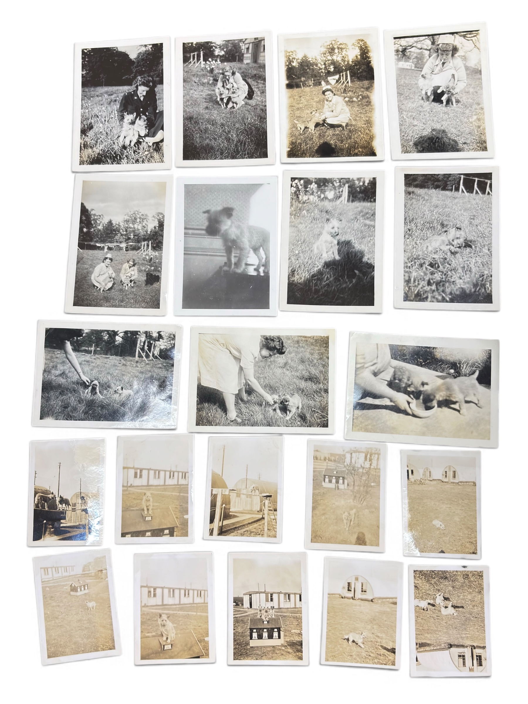Lot Photo Nurse + Chien 1945 WWII