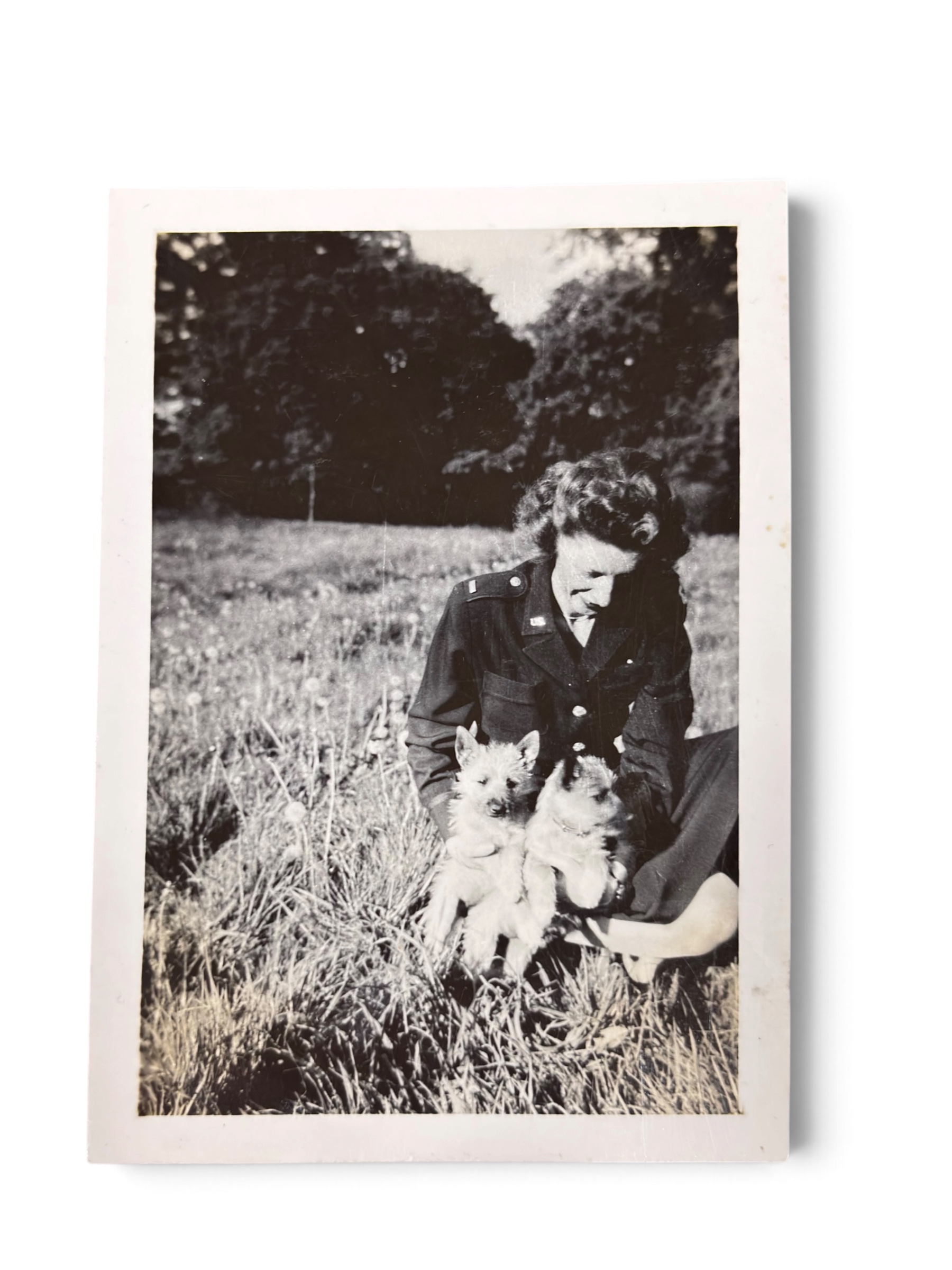 Lot Photo Nurse + Chien 1945 WWII – Image 2
