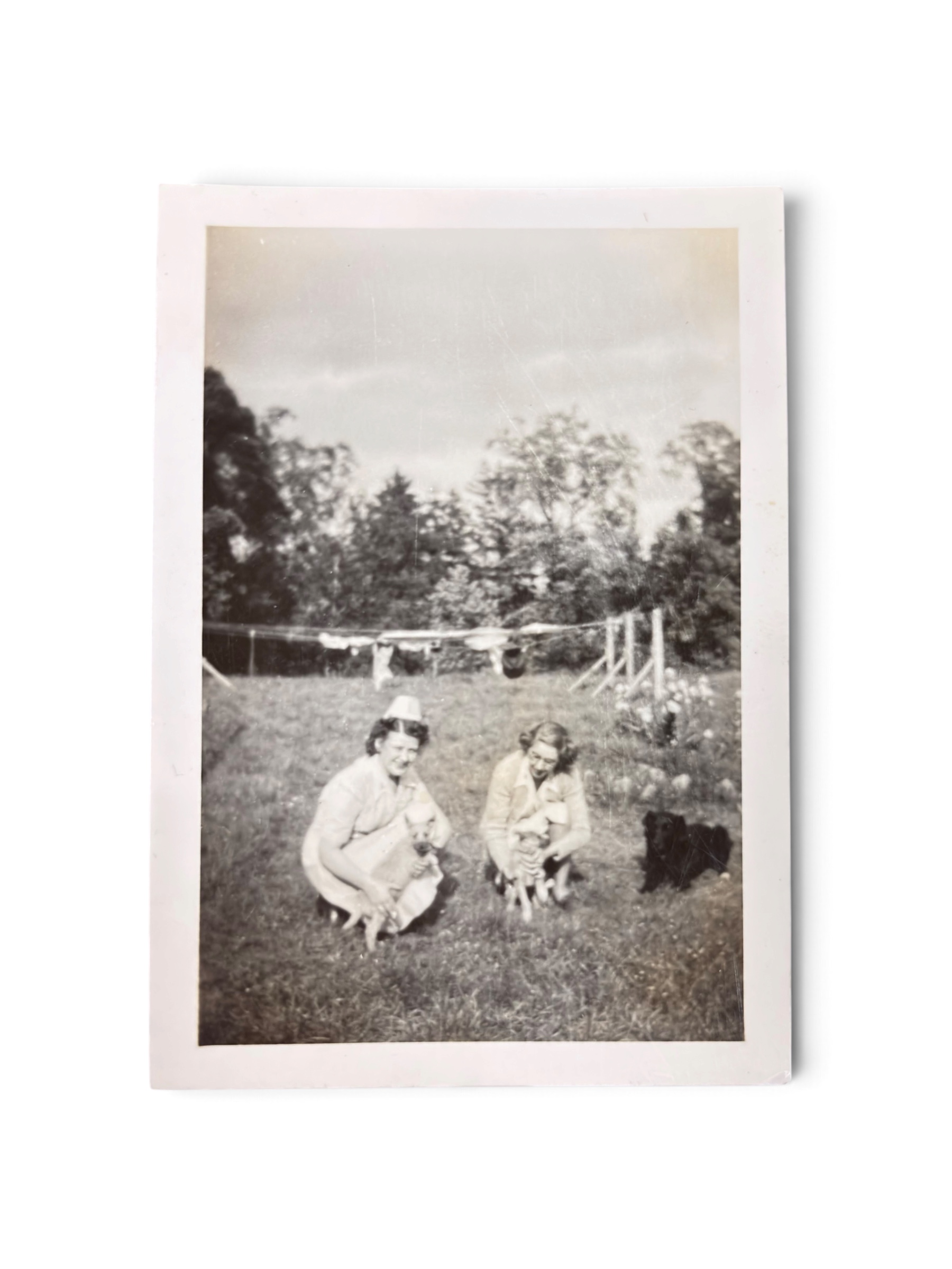 Lot Photo Nurse + Chien 1945 WWII – Image 6
