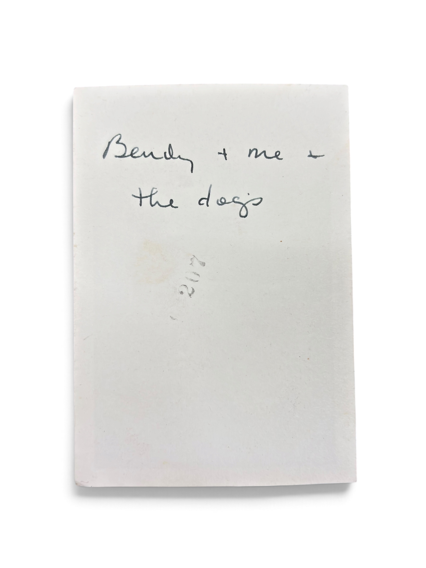Lot Photo Nurse + Chien 1945 WWII – Image 7