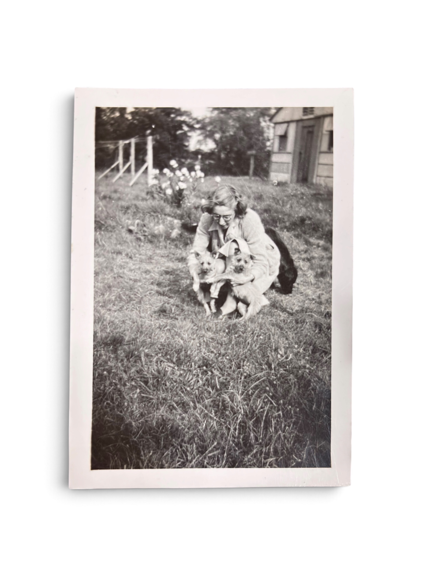 Lot Photo Nurse + Chien 1945 WWII – Image 10