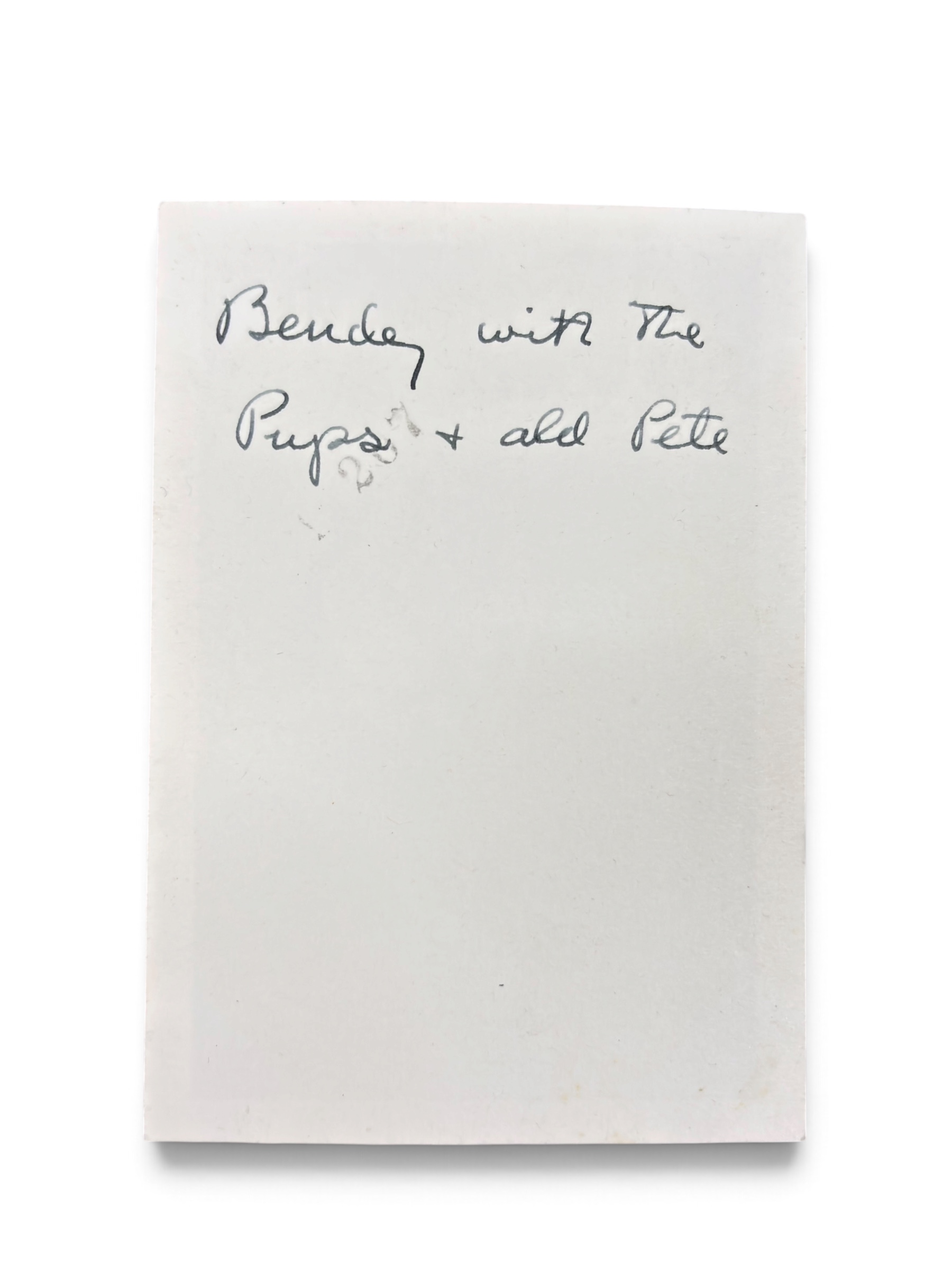 Lot Photo Nurse + Chien 1945 WWII – Image 11