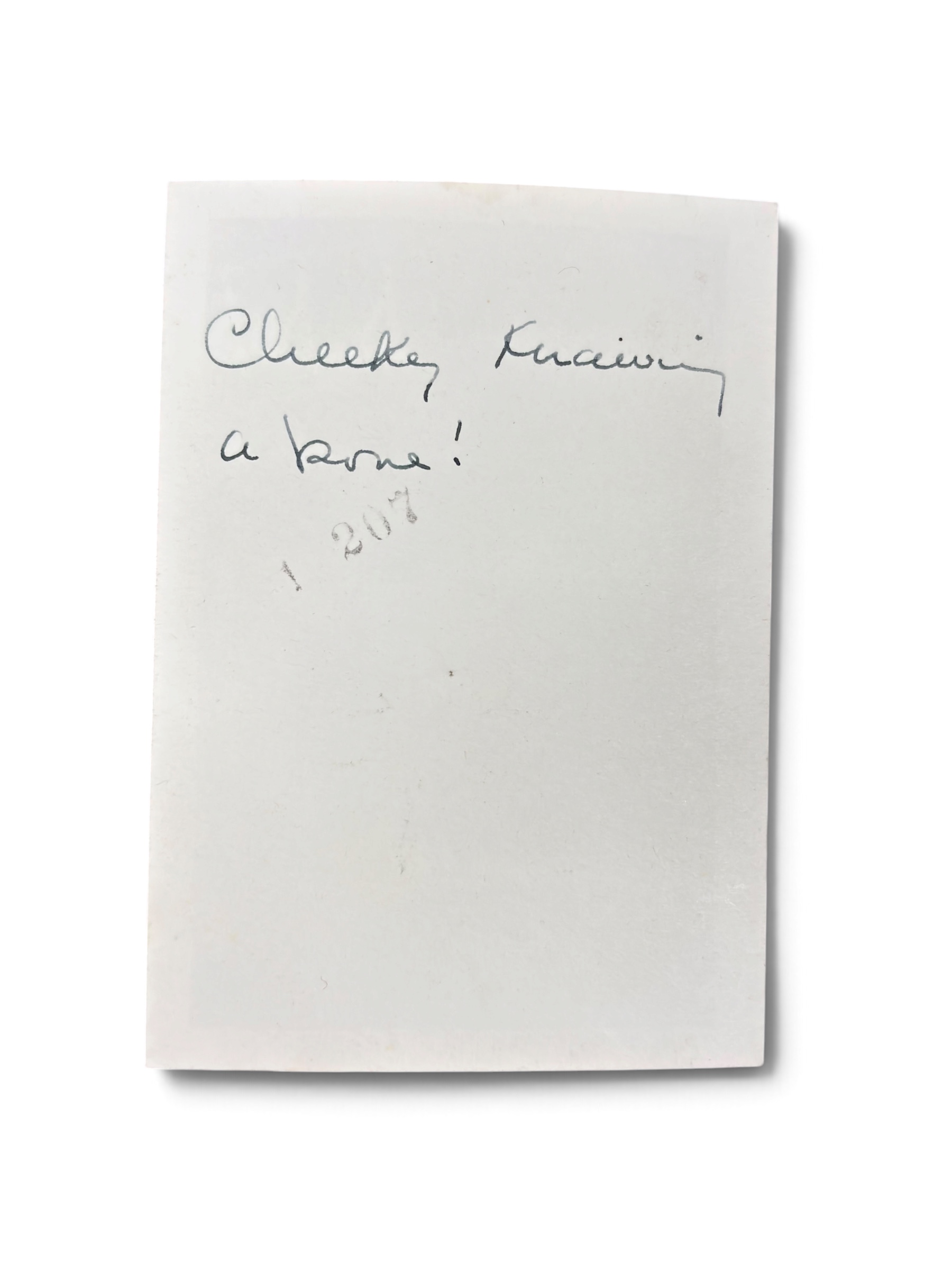 Lot Photo Nurse + Chien 1945 WWII – Image 19