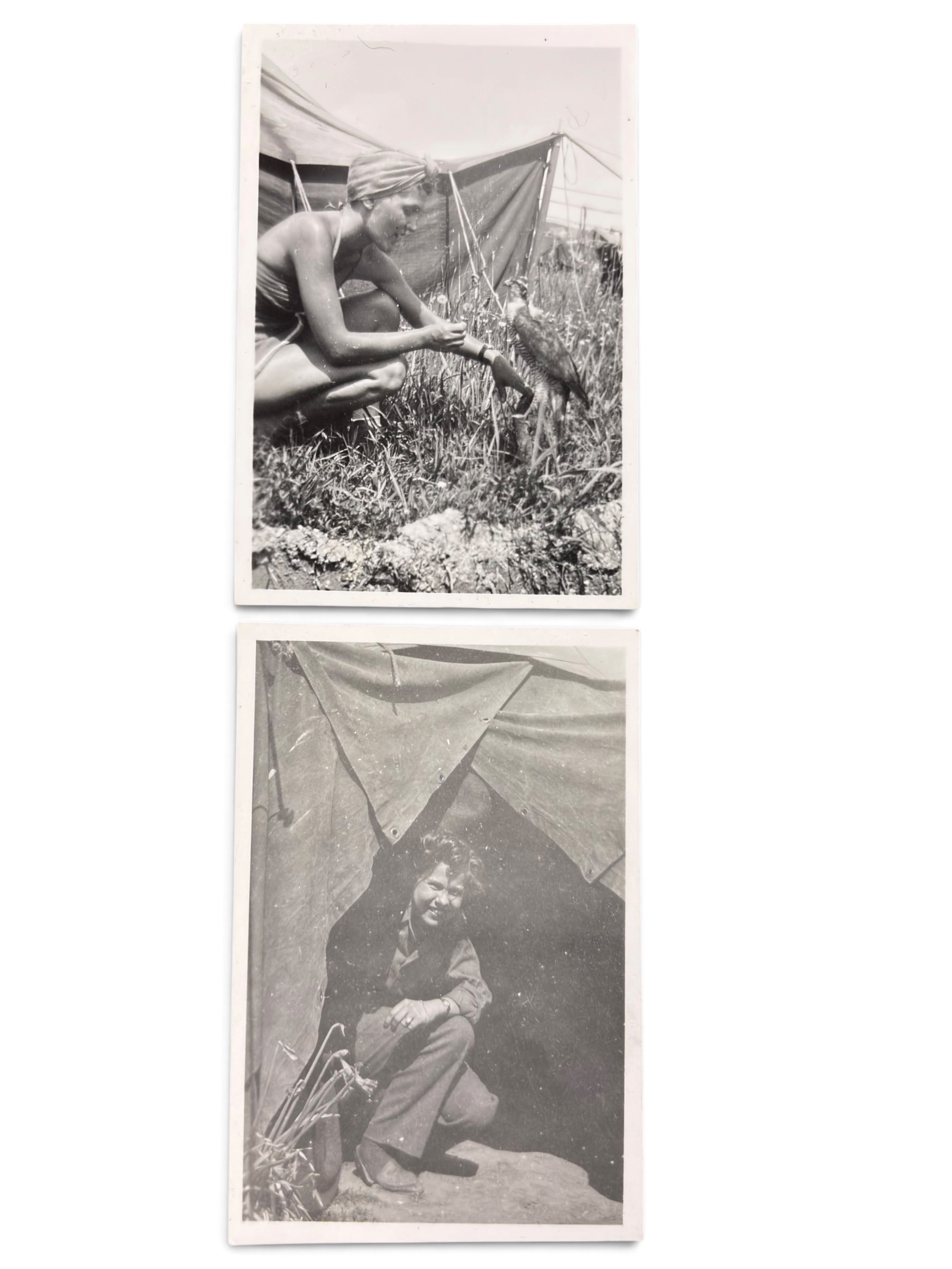 Gros Lot Photo Nurse Campement Médical WWII – Image 6